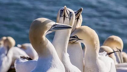 泽州伴游，定制QQ：3494206190微信：act1322