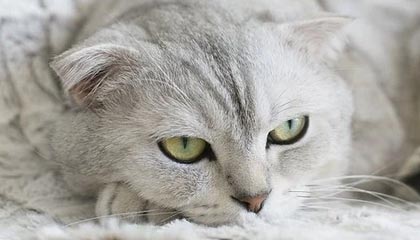 泽州伴游，定制QQ：3494206190微信：act1322