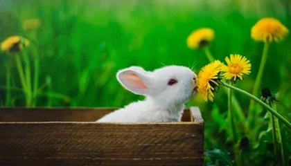 泽州伴游，定制QQ：3494206190微信：act1322